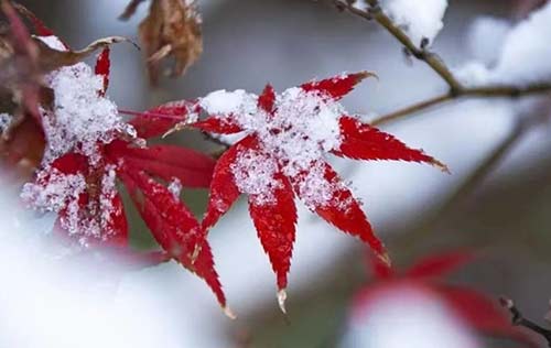 沈陽(yáng)人事代理有哪些好處？